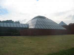 We were able to enter the excavated tomb-- which is housed under this glass dome.