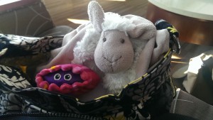 Mr Clam and Kokkinisto the Sheep blanket wait for their friend