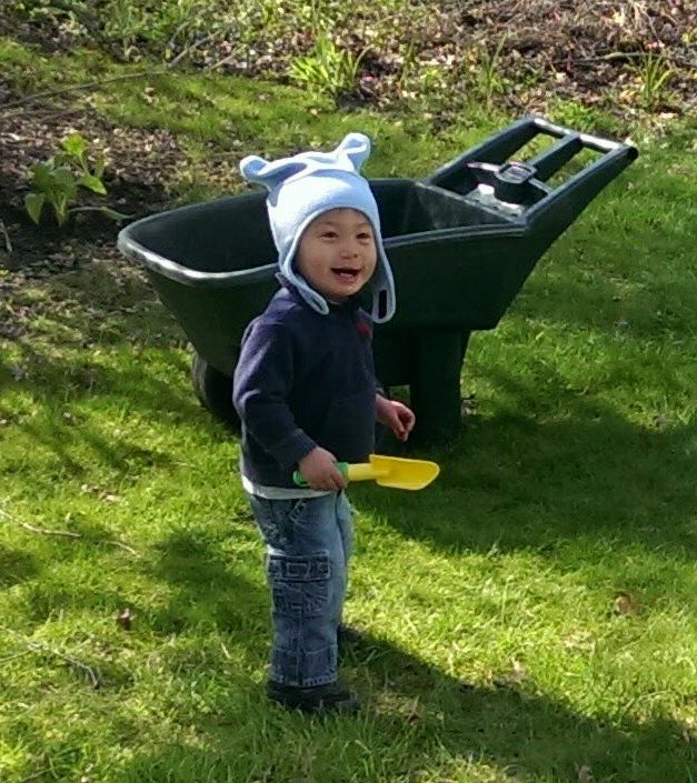 Alexander's landscaping service-- he is happy to take payment in the form of puffs and fruit pouches.