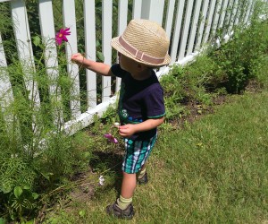 Inspecting his wildflower collection